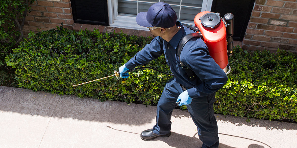 Pest Controller